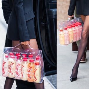 Hermes Clear Vinyl Kelly Bag